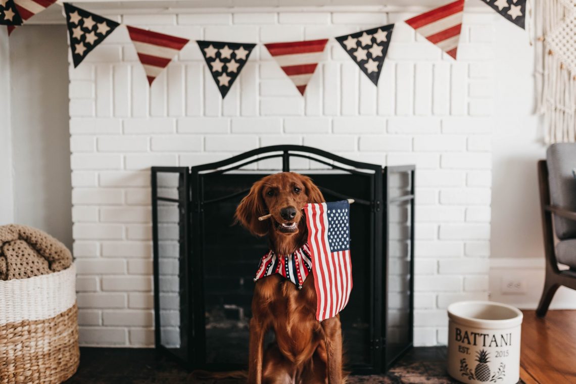 pup with flag